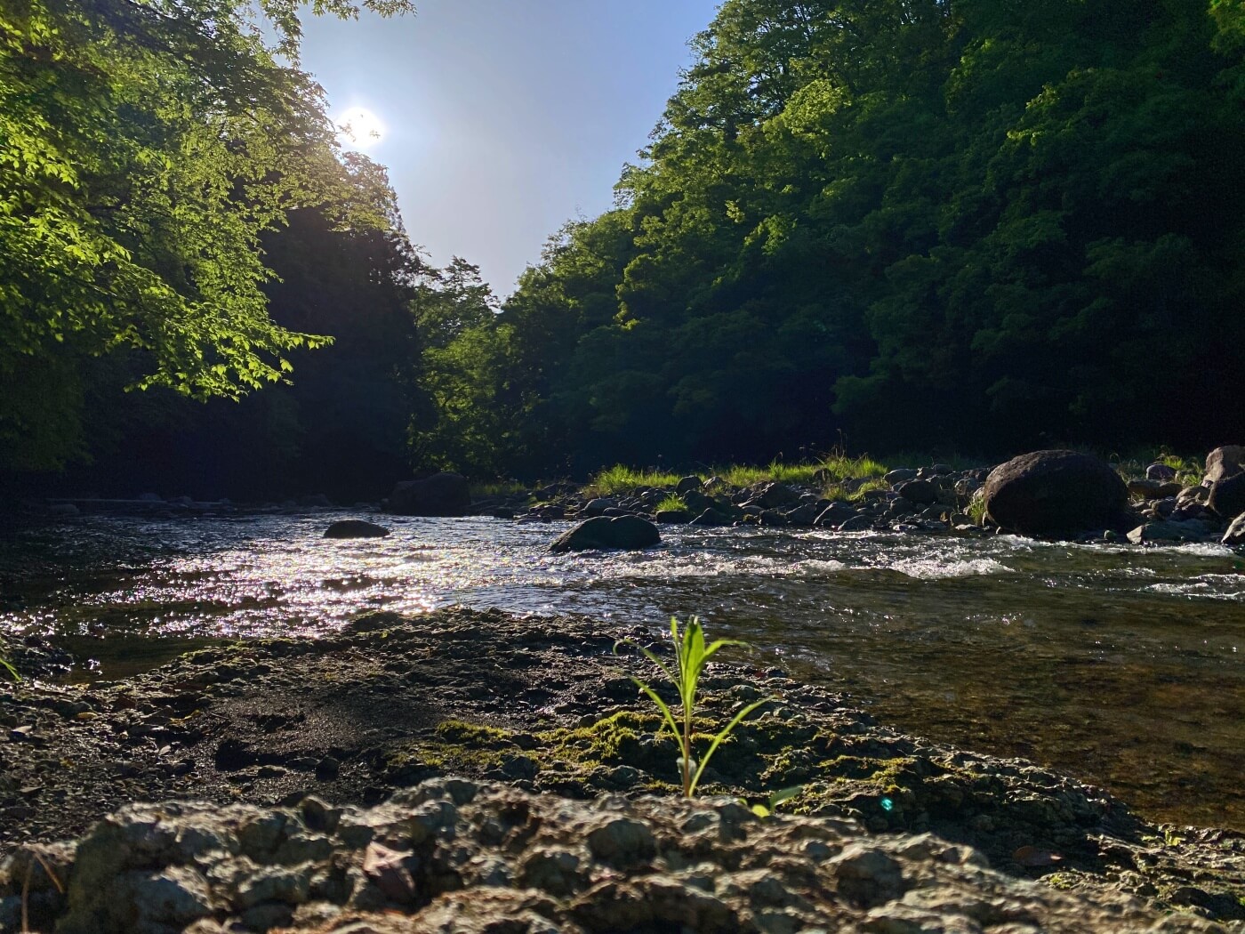 A river in Sagamihara, Kanagawa, Japan.