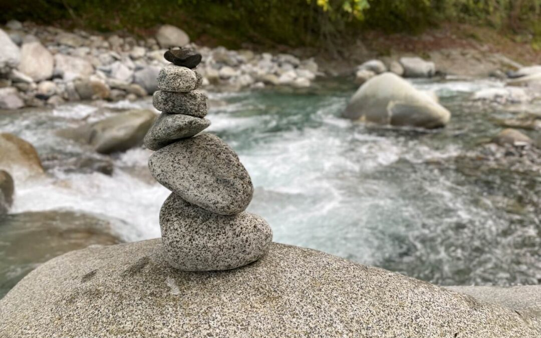 Yamakita’s Untapped Potential: Cultivating Rural Tourism Through Camping Culture