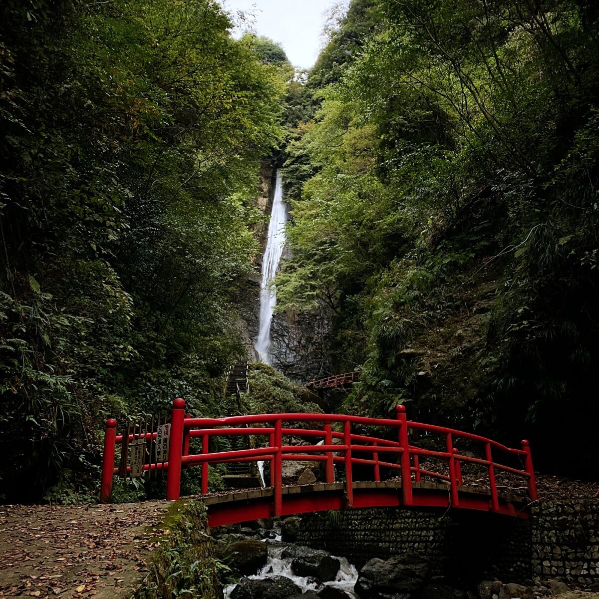 Red bridge, green forest, and white waterfall in Yamakita, Kanagawa, Japan.
