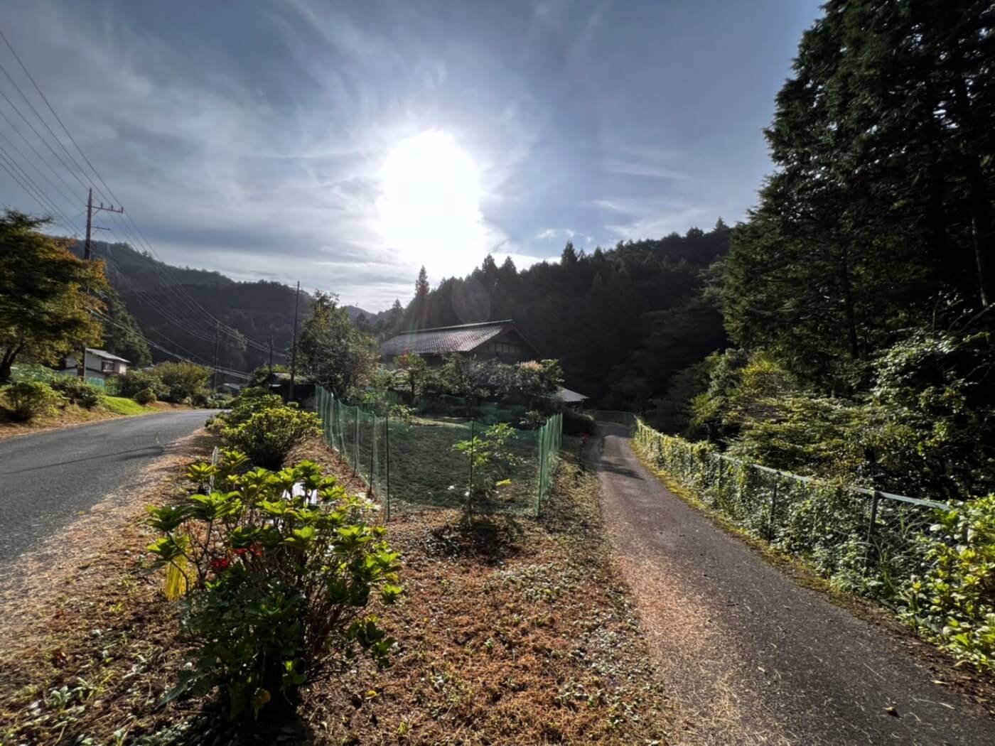 Here’s optimized alt text for that image, incorporating your keyphrases:

Alt text:
Vacant property with traditional garden and pine forest backdrop in rural Saitama, ideal for regional revitalization and digital infrastructure projects.